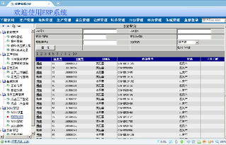變壓器工廠ERP系統(tǒng)全攻略 價(jià)格、廠家、圖片與軟件開發(fā)詳解